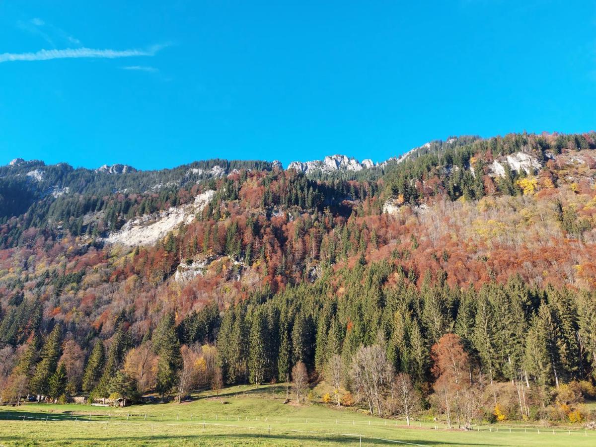 Appartement Sonnenberg *